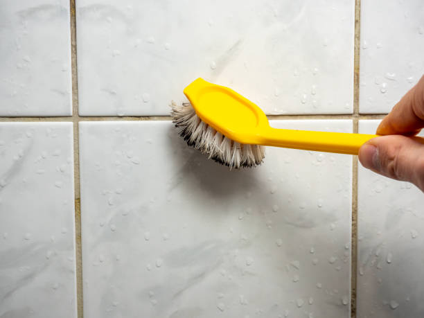 Best Mold Remediation Services  in Newington Forest, VA