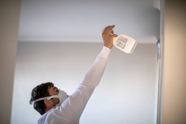 Professional Mold Removal in Newington Forest, VA