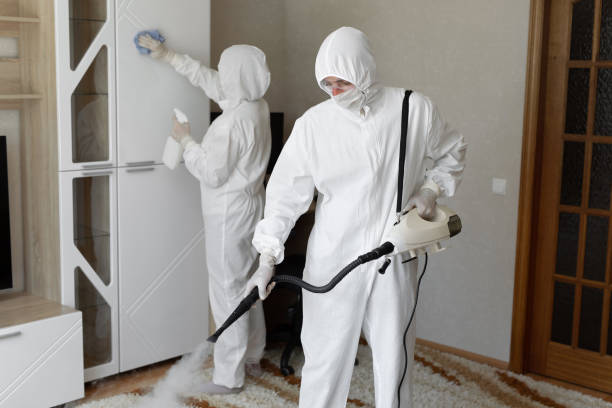 Best Emergency Mold Removal  in Newington Forest, VA