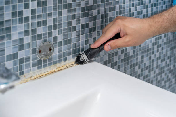 Best Mold Removal and Inspection  in Newington Forest, VA