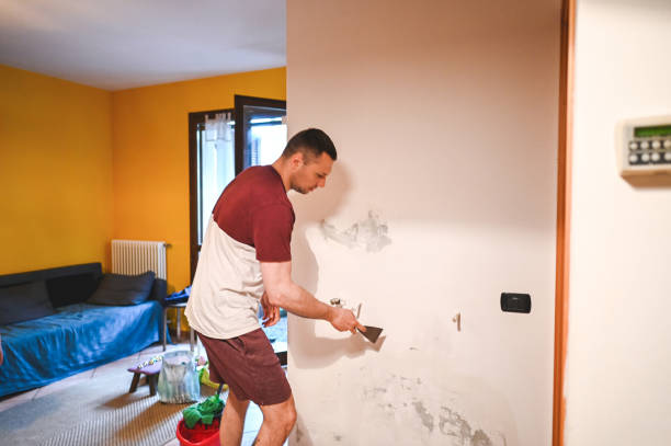 Best Fast Mold Removal  in Newington Forest, VA