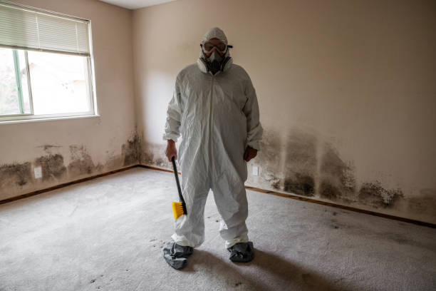 Reliable Newington Forest, VA Mold Removal Solutions