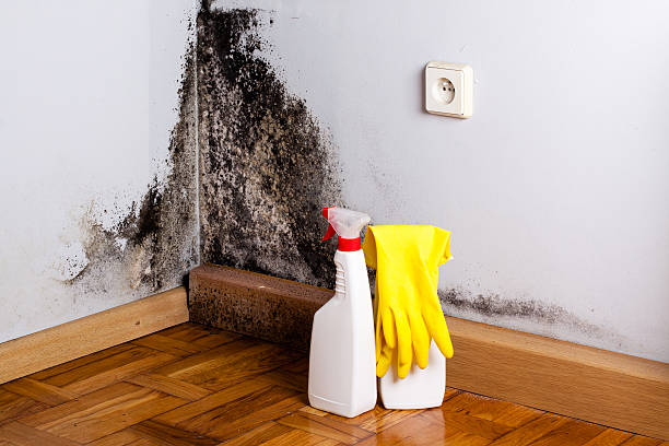 Best Office Mold Removal Services  in Newington Forest, VA